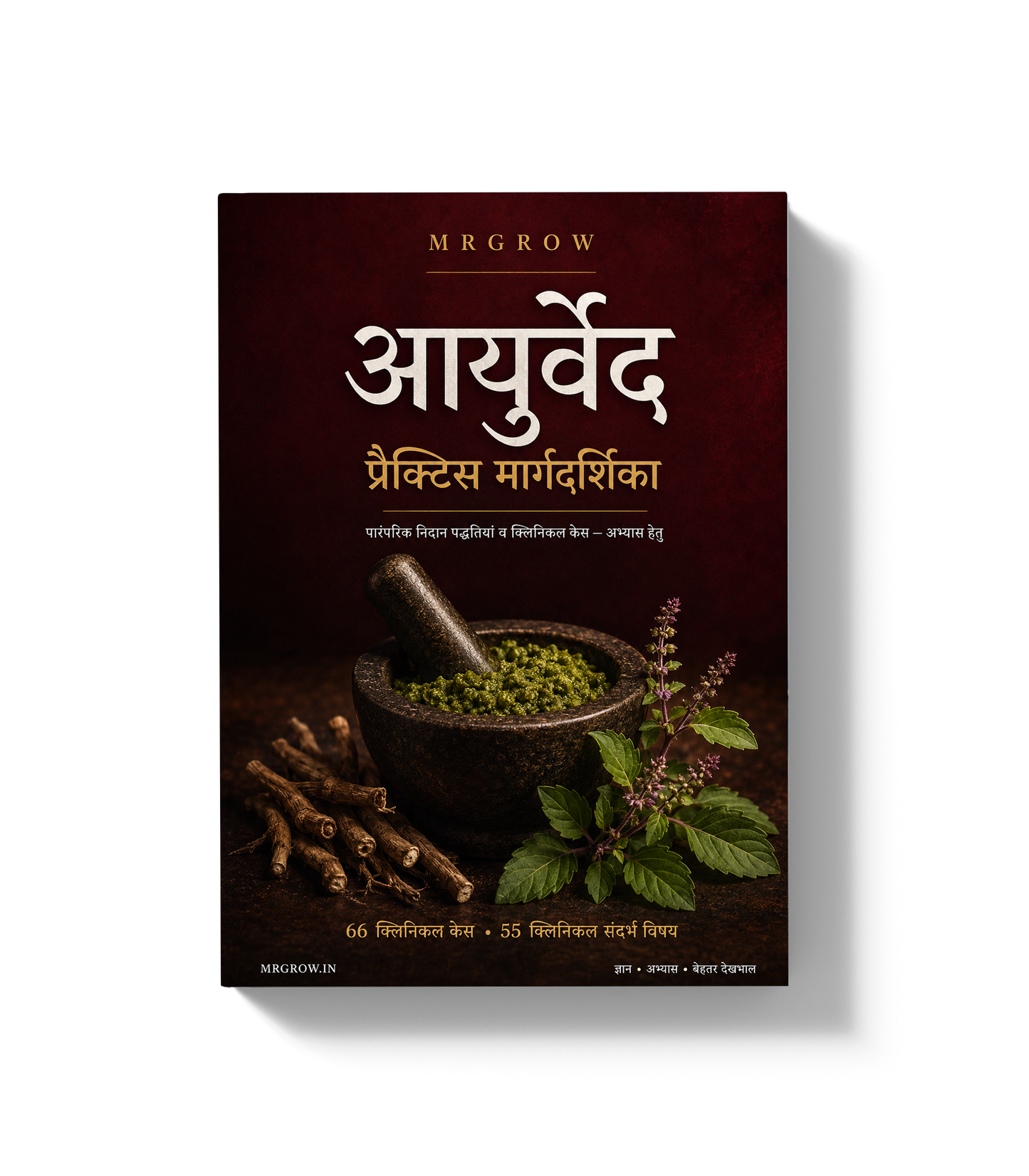 आयुर्वेद प्रैक्टिस मार्गदर्शिका [Hindi]
