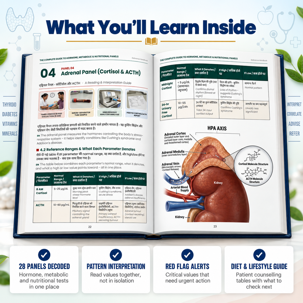 The Complete Guide to Hormone, Metabolics & Nutritional Panels - हिंदी + English